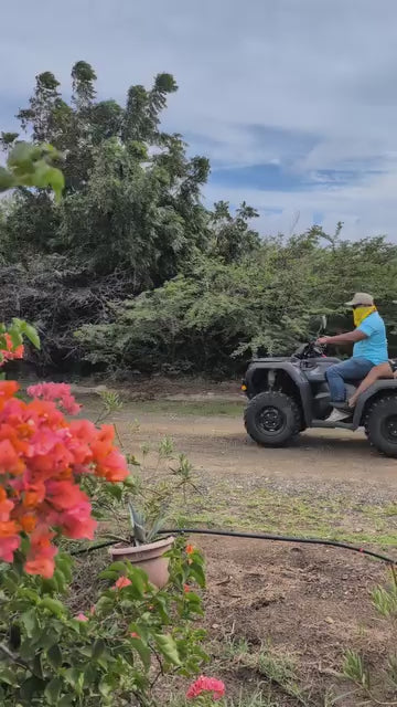 Watamula ATV-tour Curaçao – Off-road avontuur